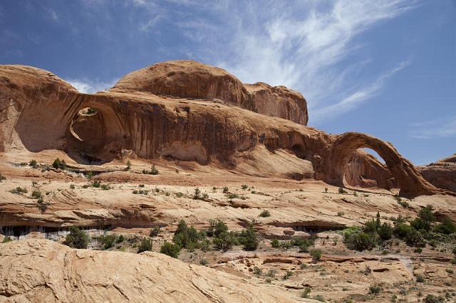 223 Corona en Bowtie Arch.jpg